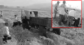 Menthi Farming: వారం రోజుల్లో వచ్చే పంట.. ఖర్చు తక్కువ.. ఆదాయం ఎక్కువ!