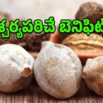 Thanikaya: తగ్గని వ్యాధులను తగ్గించే తానికాయ.. ఈ అద్భుత ప్రయోజనాలు తెలిస్తే ఆశ్చర్యపోతారు!