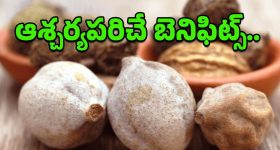 Thanikaya: తగ్గని వ్యాధులను తగ్గించే తానికాయ.. ఈ అద్భుత ప్రయోజనాలు తెలిస్తే ఆశ్చర్యపోతారు!