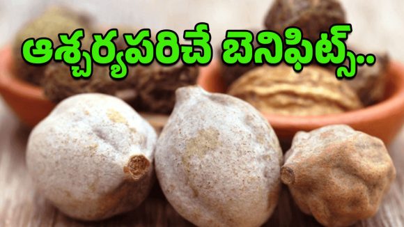 Thanikaya: తగ్గని వ్యాధులను తగ్గించే తానికాయ.. ఈ అద్భుత ప్రయోజనాలు తెలిస్తే ఆశ్చర్యపోతారు!