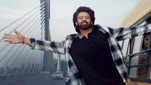 The Raja Saab: గ్లోబల్ రేంజ్ లో రాజాసాబ్ ప్రమోషన్స్..10 రోజులకు ఒక అప్డేట్ అంటూ!