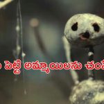 OTT Movie : ప్లే గ్రౌండ్ లో చెయ్యి లేకుండా అమ్మాయి శవం… చెస్ట్ నట్ బొమ్మతో క్లూ వదిలే సైకో కిల్లర్ కిరాతకం..