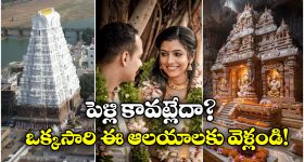 OTT Movie : ఇంద్రజాలికుల మాయలో అందాల రాక్షసి... అందరూ చూస్తుండగానే అలాంటి పని ... ఒక్కసారి చూస్తే ఆపరు