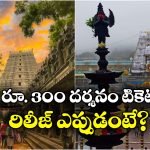 Tirumala Darshan Tickets: ఫిబ్రవరిలో శ్రీవారి దర్శనం.. ఆన్‌లైన్‌లో ఈ కోటా టికెట్ల విడుదల, వెంటనే బుక్ చేసుకోండి!