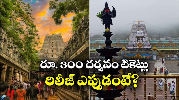 Tirumala Darshan Tickets: ఫిబ్రవరిలో శ్రీవారి దర్శనం.. ఆన్‌లైన్‌లో ఈ కోటా టికెట్ల విడుదల, వెంటనే బుక్ చేసుకోండి!