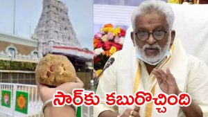 Tirumala Adulterated Ghee case: తిరుమల లడ్డూ కల్తీ నెయ్యి కేసు..  వైవీ సుబ్బారెడ్డికి పిలుపు