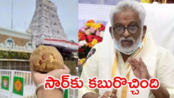 Tirumala Adulterated Ghee case: తిరుమల లడ్డూ కల్తీ నెయ్యి కేసు..  వైవీ సుబ్బారెడ్డికి పిలుపు