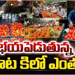 Tomato Prices Soar: భయపెడుతున్న టమాట.. కిలో ఎంతంటే?