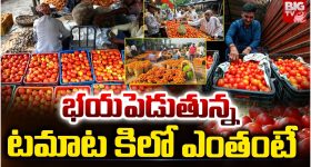 Tomato Prices Soar: భయపెడుతున్న టమాట.. కిలో ఎంతంటే?