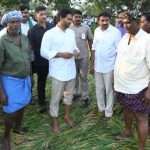 Jagan Tour: తప్పులో కాలేసిన వైసీపీ సోషల్ మీడియా.. రైతులకు ఇంతకంటే అవమానం ఉంటుందా?