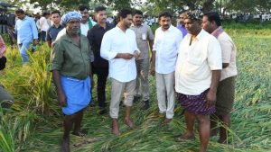 Jagan Tour: తప్పులో కాలేసిన వైసీపీ సోషల్ మీడియా.. రైతులకు ఇంతకంటే అవమానం ఉంటుందా?