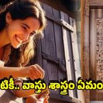 Vastu Windows: ప్రతి ఇంటిలో తలుపు పక్కనే కిటికీ ఎందుకు పెడతారు? వాస్తుశాస్త్రం అసలు ఏం చెబుతుంది?