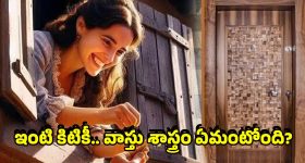 Vastu Windows: ప్రతి ఇంటిలో తలుపు పక్కనే కిటికీ ఎందుకు పెడతారు? వాస్తుశాస్త్రం అసలు ఏం చెబుతుంది?
