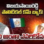 Vijaya Sai Reddy: ఏడాది కాకుండానే యూటర్న్‌.. విజయసాయి రెడ్డి చూపు ఏ పార్టీ వైపు?