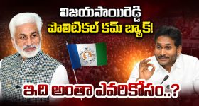 Vijaya Sai Reddy: ఏడాది కాకుండానే యూటర్న్‌.. విజయసాయి రెడ్డి చూపు ఏ పార్టీ వైపు?
