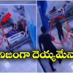 Viral News: ఐసీయూలో భయానక దృశ్యం, చూస్తే, వెన్నులో వణుకు పుట్టాల్సిందే!