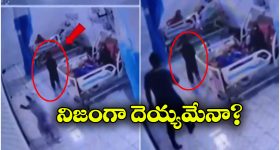 Air Purifying Plants: స్వచ్ఛమైన గాలిని అందించే.. అద్భుతమైన మొక్కలు ఇవే !