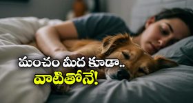 IBomma Ravi : కట్టుకున్న భార్యే కొంప ముంచింది... ఐబొమ్మ నిర్వహకుడు రవి ఎలా పట్టుబడ్డాడంటే ?