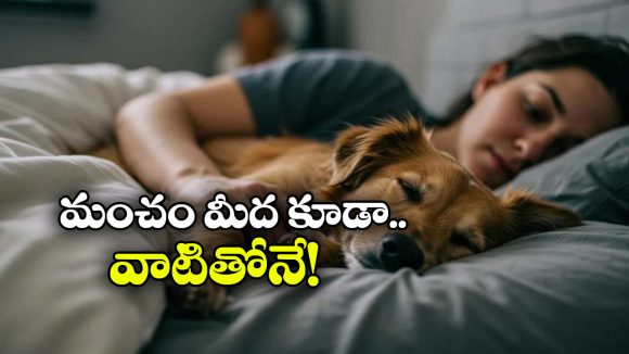 Viral News: నా భార్యకు నా కంటే కుక్కలే ఇష్టం.. విడాకుల కోసం కోర్టుకెక్కిన భర్త!