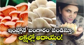 Butta Renuka: షాకిచ్చిన జగన్.. బుట్టా రేణుక ఫ్యూచర్ ఏంటో?