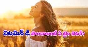 Vitamin D: మొదలైంది శీతాకాలం.. విటమిన్ డి కోసం ఏ టైంలో, ఎంతసేపు ఎండలో నిలబడాలో తెలుసా?