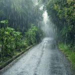 Weather News: బంగాళాఖాతంలో అల్పపీడనం.. ఈ జిల్లాల్లో భారీ వర్షాలు, బయటకు రావొద్దు