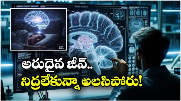 Sleep Hours: రోజూ 5 గంటలే నిద్రపోతున్నారా? అయితే, మీరు సూపర్ హీరోలే, ఎందుకంటే?
