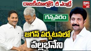 Vallabhaneni Vamsi: రాజకీయాల్లోకి రీ ఎంట్రీ..  జగన్‌ పర్యటనలో వల్లభనేని