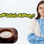 Curd In Winter:వామ్మో, చలికాలంలో ఇది తింటే ప్రాబ్లమ్స్ పక్కా.. ఎందుకో తెలుసా ?