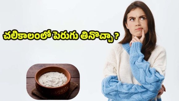 Curd In Winter:వామ్మో, చలికాలంలో ఇది తింటే ప్రాబ్లమ్స్ పక్కా.. ఎందుకో తెలుసా ?