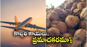 Coconuts In Flights: విమానాల్లోకి కొబ్బరి కాయలను అనుమతించరు.. ఎందుకంటే?