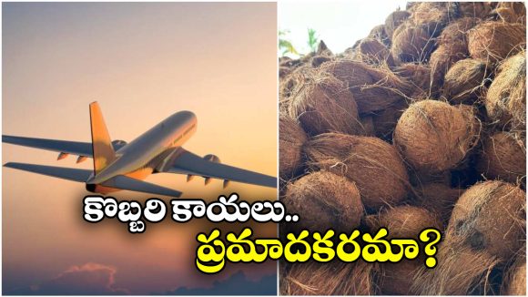 Coconuts In Flights: విమానాల్లోకి కొబ్బరి కాయలను అనుమతించరు.. ఎందుకంటే?