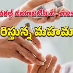 World Diabetes Day 2025: ఆందోళన కలిగించే గణాంకాలు.. చేపకింద నీరులా విస్తరిస్తున్న మధుమేహం!