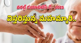 World Diabetes Day 2025: ఆందోళన కలిగించే గణాంకాలు.. చేపకింద నీరులా విస్తరిస్తున్న మధుమేహం!