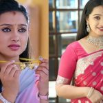 Agnisakshi Serial Heroine: ‘అగ్నిసాక్షి’ గౌరీ జీవితమంతా కష్టాలు.. కన్నీళ్లు తెప్పించే స్టోరీ..