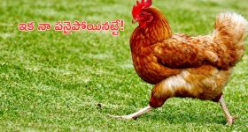 Asia Cup Rising Stars 2025: టీమిండియా కొంపముంచిన సూప‌ర్ ఓవ‌ర్‌...ఫైన‌ల్ కు దూసుకెళ్లిన బంగ్లా