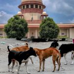 Supreme Court: వీధి కుక్కల కేసులో సుప్రీంకోర్టుకు క్షమాపణలు చెప్పిన రాష్ట్రాల సీఎస్‌లు