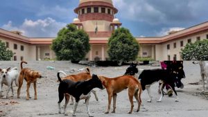 Supreme Court: వీధి కుక్కల కేసులో సుప్రీంకోర్టుకు క్షమాపణలు చెప్పిన రాష్ట్రాల సీఎస్‌లు