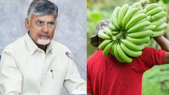 CM Chandrababu: రైతులకు గుడ్ న్యూస్.. ముంబై, కోల్‌కతాకు అరటి ఎగుమతులు.. పత్తి రైతులకు సీఎం భరోసా!