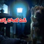 OTT Movie : దెయ్యం నుంచి ఓనర్‌ను రక్షించే డాగ్… ఇలాంటి హర్రర్ మూవీని మీ లైఫ్‌లో చూసుండరు భయ్యా