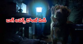 OTT Movie : 'ది బెంగాల్ ఫైల్స్' లాంటి టాప్ రియల్ లైఫ్ స్టోరీస్... ఒక్కో ఊచకోతను చూస్తే వణుకే మావా