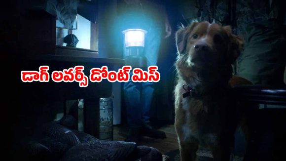OTT Movie : దెయ్యం నుంచి ఓనర్‌ను రక్షించే డాగ్… ఇలాంటి హర్రర్ మూవీని మీ లైఫ్‌లో చూసుండరు భయ్యా