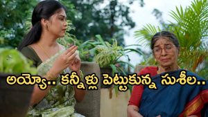 GudiGantalu Today episode: మీనా పై సుశీల ప్రశంసలు.. నిజం తెలుసుకున్న సుశీల.. అత్తింట్లో మౌనికకు అవమానం..