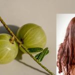 Amla for Hair: జుట్టు పెరుగుదలకు ఉసిరిని ఇలా వాడండి, జుట్టు మెరుస్తూ పొడవుగా ఎదుగుతుంది