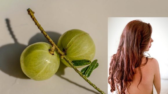 Amla for Hair: జుట్టు పెరుగుదలకు ఉసిరిని ఇలా వాడండి, జుట్టు మెరుస్తూ పొడవుగా ఎదుగుతుంది