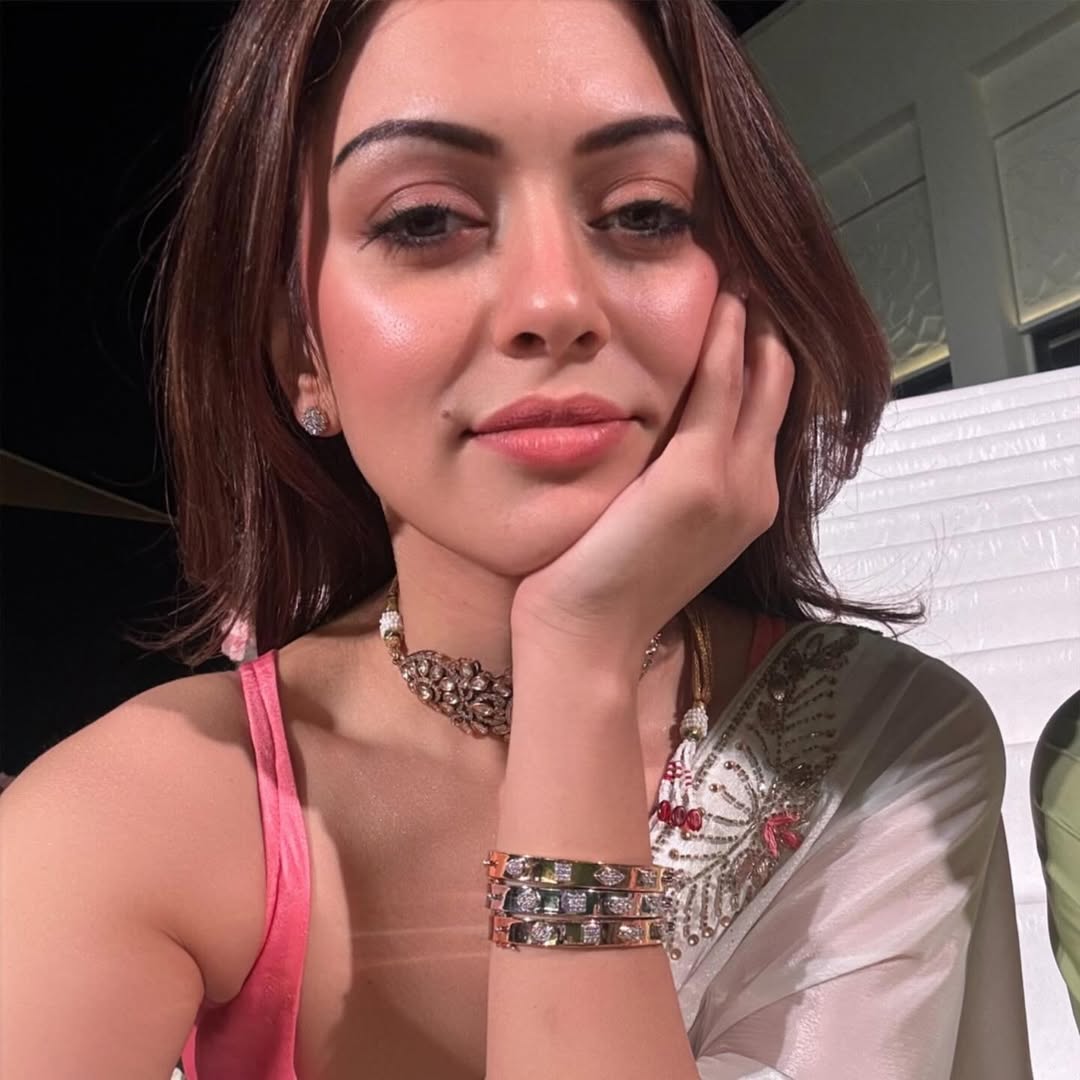 Hansika Motwani Photos (Source: Instagram)