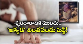 The Raja Saab Pre Release: ఈవెంట్‌ ఇండియాలో కాదు.. ఫ్యాన్స్‌ని మోసం చేస్తున్నారు భయ్యా
