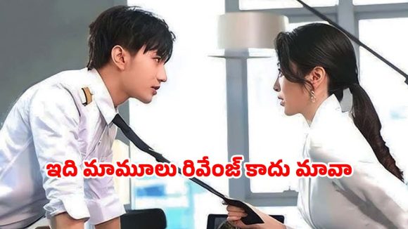 OTT Movie : పగ తీర్చుకోవడానికి పెళ్లి… సీను సీనుకో ట్విస్ట్ ఉన్న క్రేజీ వెబ్ సిరీస్