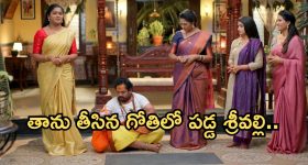 Illu Illalu Pillalu Today Episode: తృటిలో తప్పించుకున్న శ్రీవల్లి.. నగల గుట్టు విప్పేందుకు నర్మద ప్లాన్.. అసలు ట్విస్ట్ ఇదే..
