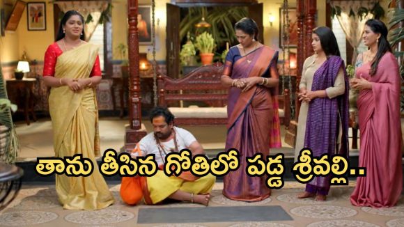 Illu Illalu Pillalu Today Episode: తృటిలో తప్పించుకున్న శ్రీవల్లి.. నగల గుట్టు విప్పేందుకు నర్మద ప్లాన్.. అసలు ట్విస్ట్ ఇదే..
